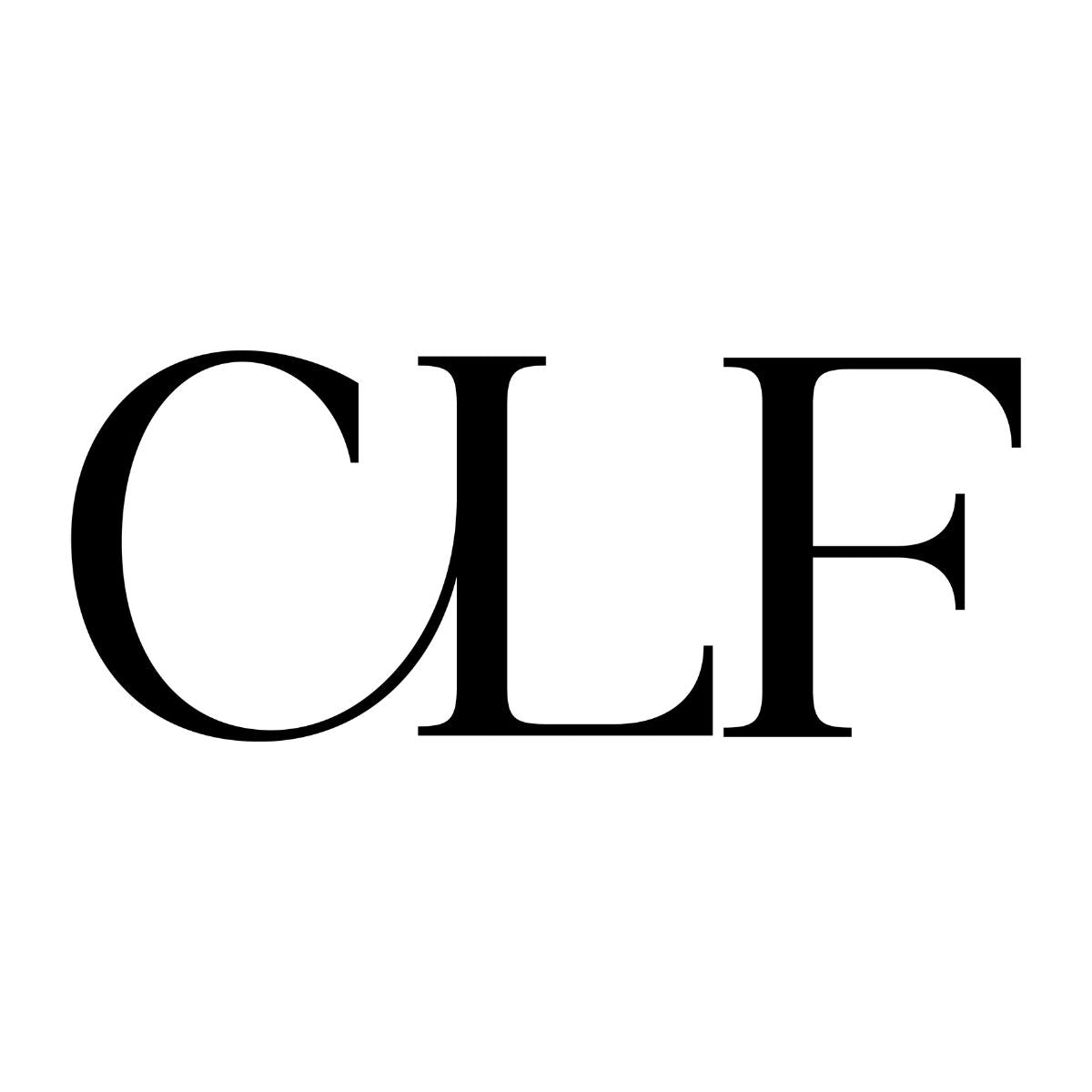 Precision Concealer Brush 180