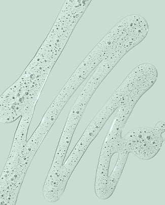 Salicylic Acid