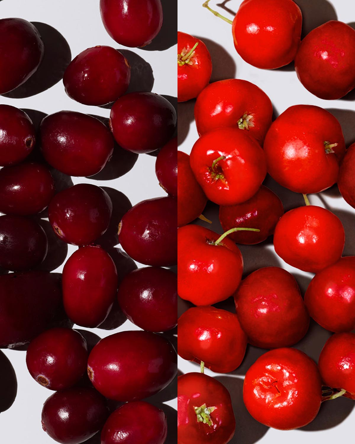 Camu Camu & Barbados Cherry (Acerola)