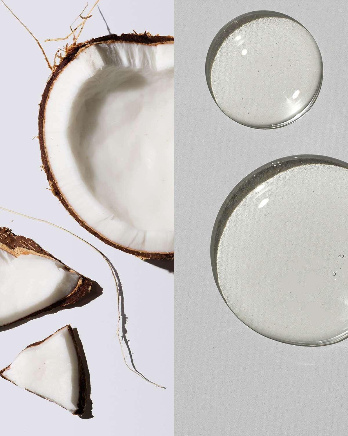 Coconut & Castor Oils