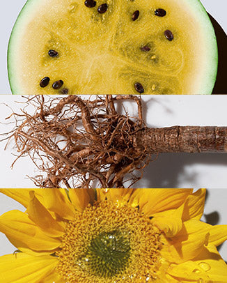 Kalahari Melon, Baobab, Sunflower, + Castor Oils