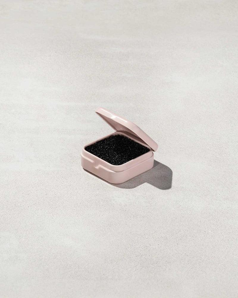 DRY BRUSH-CLEANING SPONGE, 